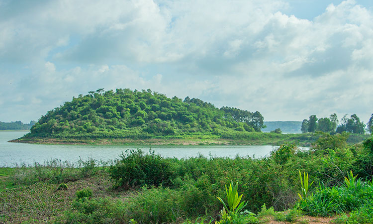Hồ Trị An cảnh đẹp hoang sơ