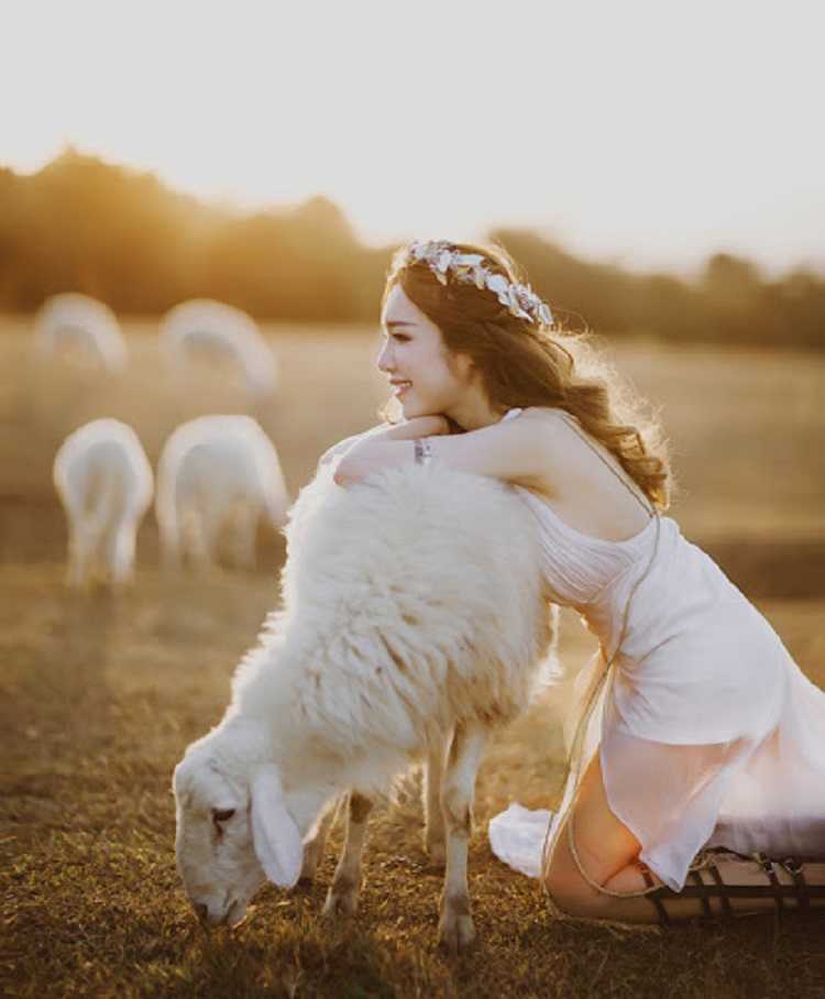 Đồi Cừu Suối Nghệ, cánh đồng check in chụp hình siêu ảo mới