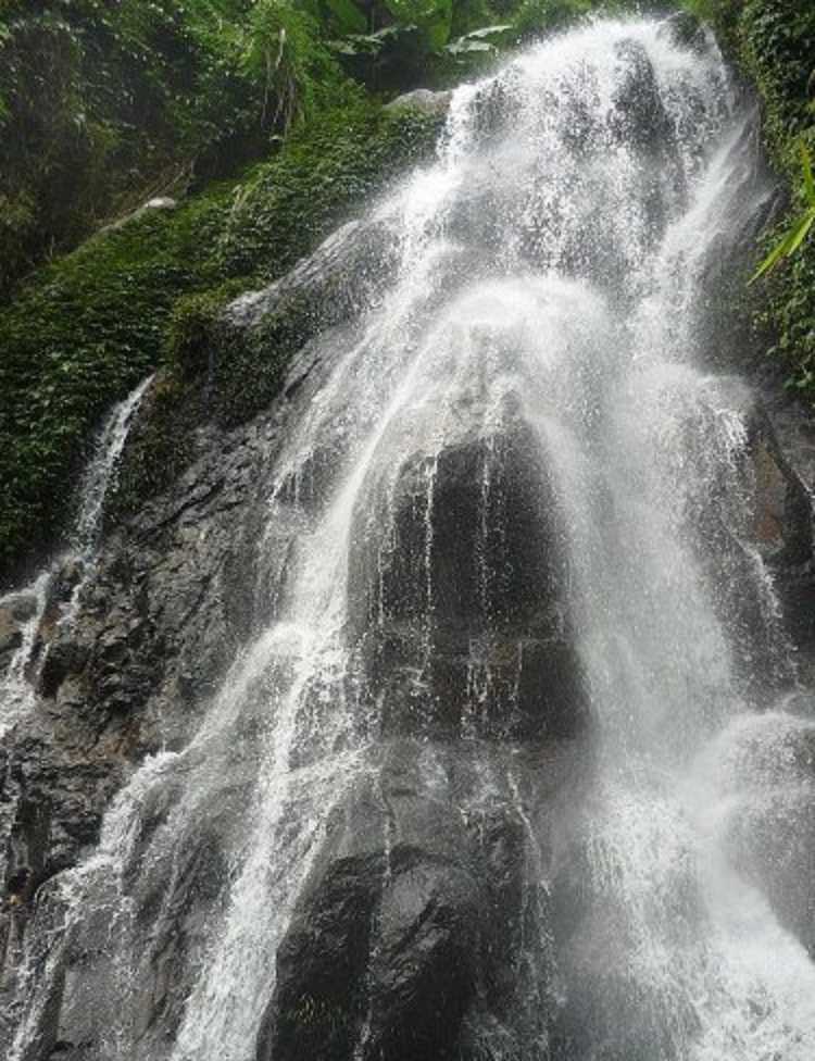 Thác suối reo bắt nguồn từ suối reo chảy qua 5 xã của huyện Thống Nhất
