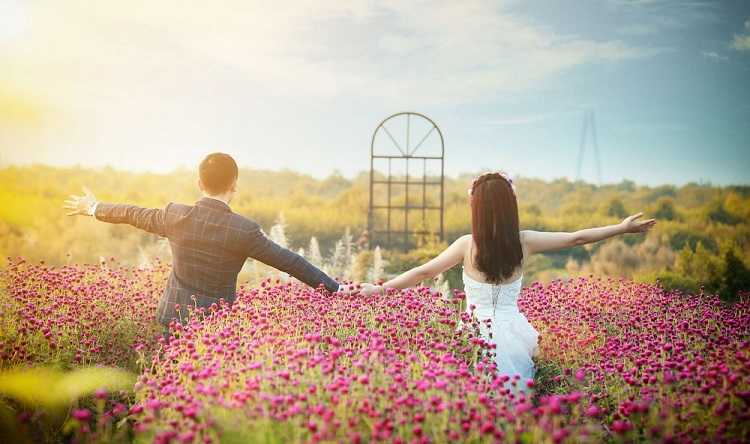 Thiên đường sống ảo ở Hà Nội là vườn hoa sông hồng - 1
