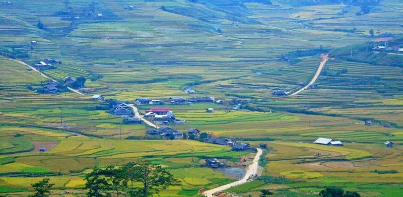 Cánh đồng Mường Thanh bức tranh lúa đồng lớn nhất Tây Bắc