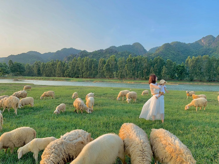 Đồng Cừu Gia Hưng Ninh Bình – Bí kíp chụp hình check in siêu ảo mới