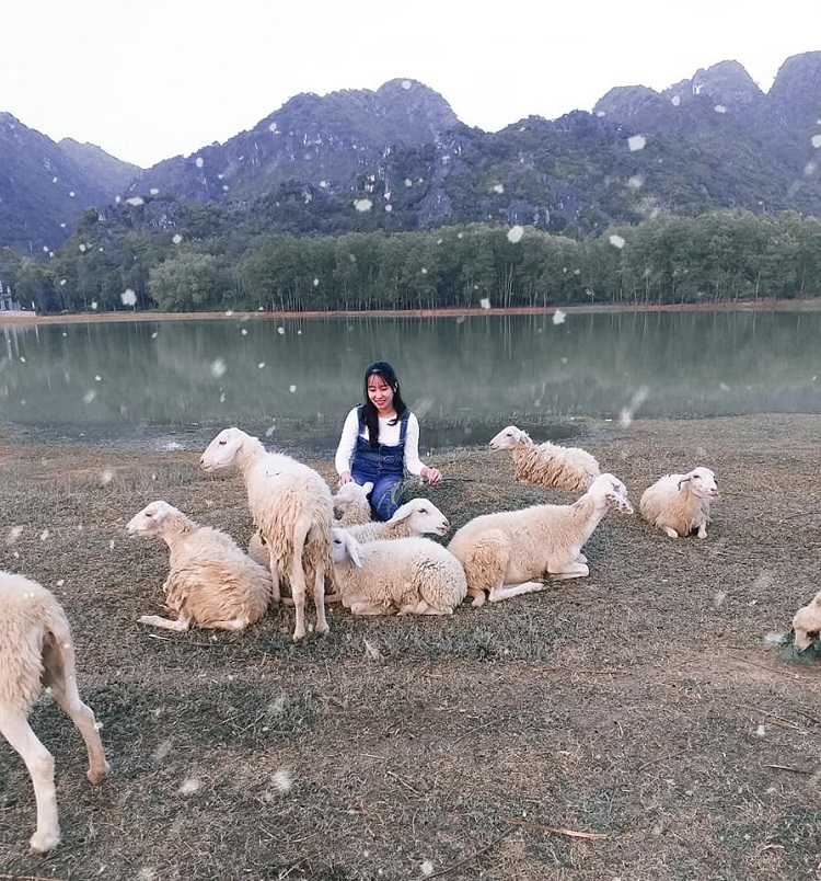 Vẻ đẹp quyến rủ lên hình siêu ảo của đồi cừu Gia Hưng Ninh Bình