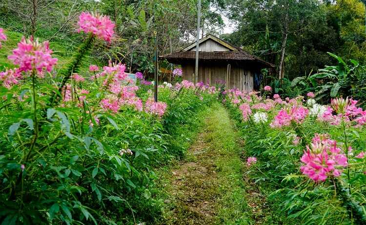 Thác Pa Sỹ, khu du lịch sinh thái với tuyệt cảnh đại ngàn của Kon Tum