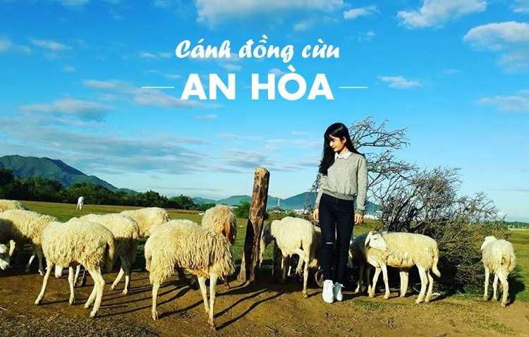 Đồng Cừu An Hòa Ninh Thuận, cuộc sống du mục giữa thảo nguyên