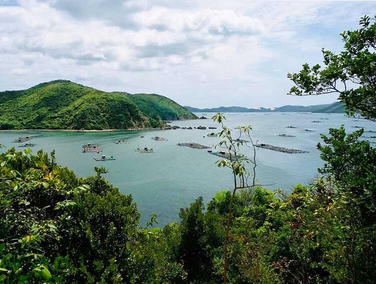 Khám phá Vịnh Xuân Đài bức tranh thiên nhiên đẹp nhất tỉnh Phú Yên